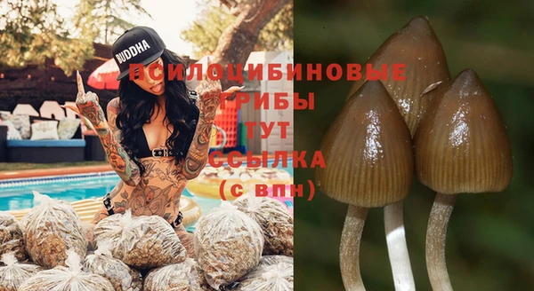 прущая мука Алзамай