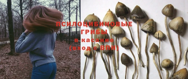 прущая мука Алзамай