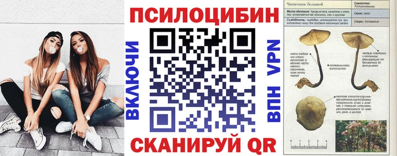 Псилоцибиновые грибы Psilocybine cubensis  Коряжма 