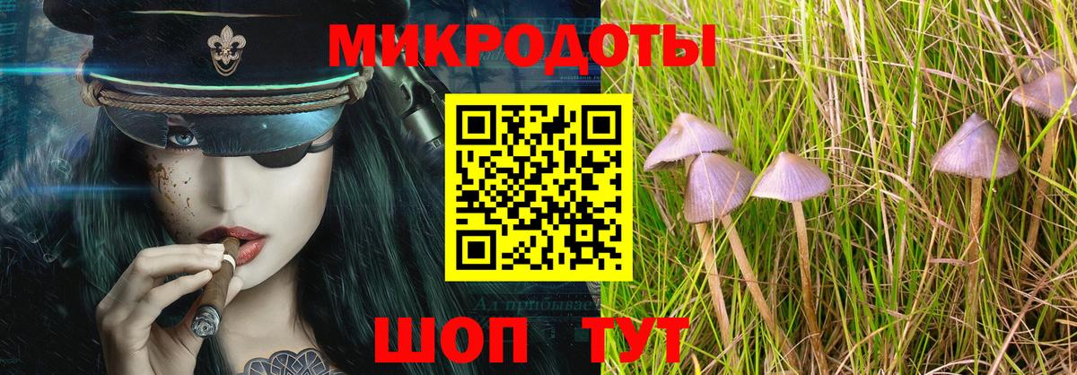 Галлюциногенные грибы мицелий Коряжма