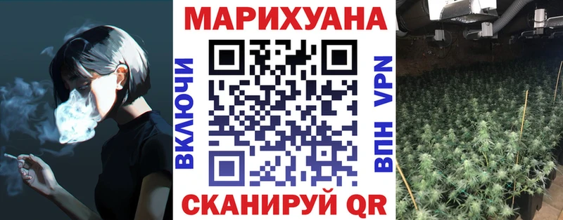 Конопля планчик  Коряжма 